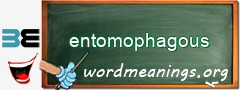 WordMeaning blackboard for entomophagous